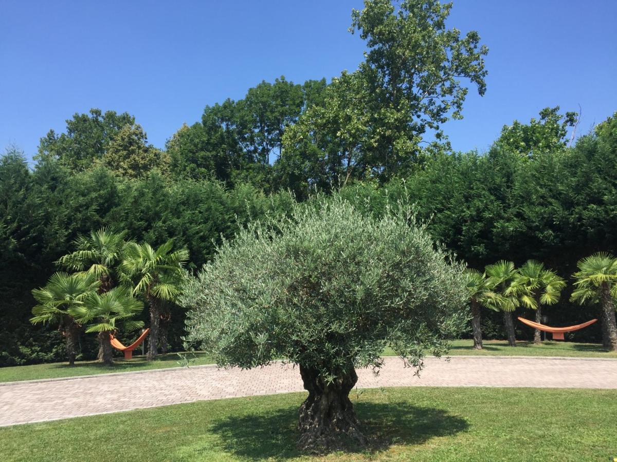 Villa Althea Ronago Dış mekan fotoğraf