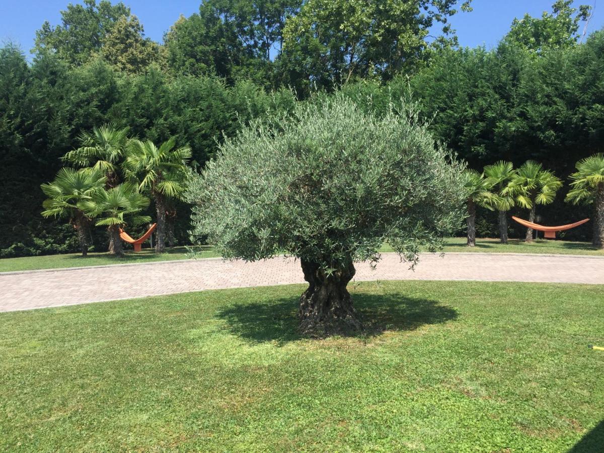 Villa Althea Ronago Dış mekan fotoğraf