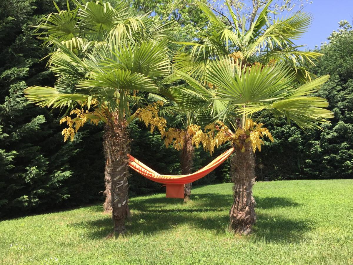 Villa Althea Ronago Dış mekan fotoğraf